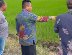 Bupati Kapuas Kunjungan Kerja ke Tamban Catur, Dorong Program Ketahanan Pangan
