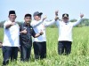 Bupati Kapuas Tinjau Persiapan Panen Raya 3.800 Hektare di Kecamatan Bataguh