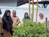 Ketua TP-PKK Kabupaten Kapuas Hj.Siti Saniah Wiyatno Kunjungi Provinsi Kalteng, Siap Dukung Penguatan Program Aku Hatinya PKK