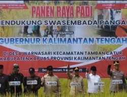 Dihadiri Gubernur Kalteng, Bupati Kapuas Gelar Panen Raya Padi di Tamban Catur.