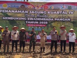 Gubernur Kalteng dan Bupati Kapuas laksanakan Tanam Jagung  dilahan Potensial Sei Asam, Kelurahan Sungei Pasah.